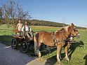 Busausflug_2011_247